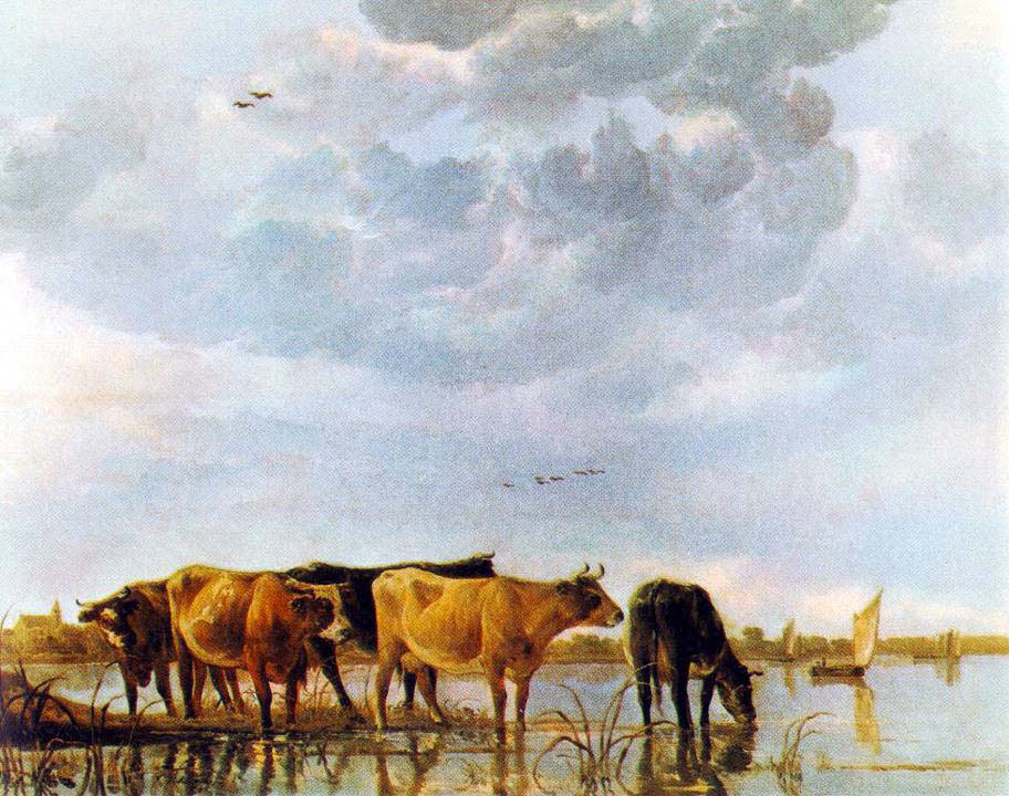 Cows in the Water#